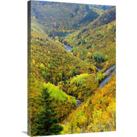 MacKenzie River valley, Cape Breton Highlands National Park, Nova Scotia, Canada-Canvas Art-24"x36"