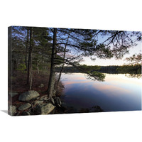 Forest along lake shore at sunset, Kejimkujik National Park, Nova Scotia, Canada-Canvas Art-30"x20"