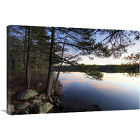 Forest along lake shore at sunset, Kejimkujik National Park, Nova Scotia, Canada-Canvas Art-36"x24"