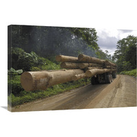 Truck with timber from a logging area, Danum Valley Conservation Area, Borneo, Malaysia-Canvas Art-30"x20"