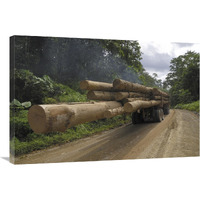 Truck with timber from a logging area, Danum Valley Conservation Area, Borneo, Malaysia-Canvas Art-36&quotx24"