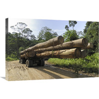 Truck with timber from a logging area, Danum Valley Conservation Area, Borneo, Malaysia-Canvas Art-30"x20"