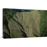 Clear cutting, Olympic National Park, Washington-Canvas Art-30"x20"