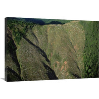 Clear cutting, Olympic National Park, Washington-Canvas Art-36&quotx24"