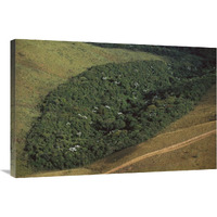 Patch of remnant rainforest surrounded by clearcut, Belo Horizonte, Atlantic Forest ecosystem, Brazil-Canvas Art-36"x24"