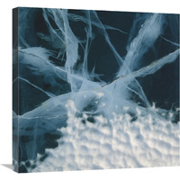 Abstract of marbled ice, Antarctica-Canvas Art-24&quotx24"