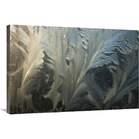 Frost crystal patterns on glass, Ross Sea, Antarctica-Canvas Art-36"x24"