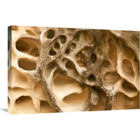 Cavernous weathering in sandstone rock, Sydney, Australia-Canvas Art-30"x20"