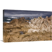 Folded limestone layers, Kaikoura, North Canterbury, New Zealand-Canvas Art-30"x20"