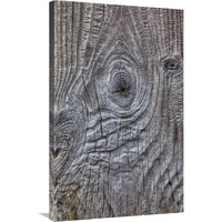 Wind eroded wood, Deception Island, South Shetland Islands, Antarctica-Canvas Art-22.68"x36"