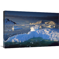 Evening light on ice floes and peaks in Paradise Bay, Antarctic Peninsula, Antarctica-Canvas Art-30&quotx20"