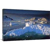 Evening light on ice floes and peaks in Paradise Bay, Antarctic Peninsula, Antarctica-Canvas Art-36"x24"