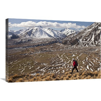 Hiker descends hill of Tussock Grass above Lake Heron Station, Canterbury, New Zealand-Canvas Art-30"x20"