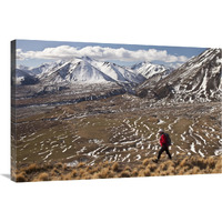 Hiker descends hill of Tussock Grass above Lake Heron Station, Canterbury, New Zealand-Canvas Art-36"x24"