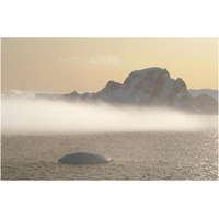 Fog bank hugging foot of icy mountains, Gerlache Strait, Antarctica-Paper Art-20"x14"