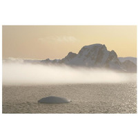 Fog bank hugging foot of icy mountains, Gerlache Strait, Antarctica-Paper Art-32&quotx22"