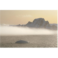 Fog bank hugging foot of icy mountains, Gerlache Strait, Antarctica-Paper Art-62"x42"