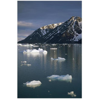 Ice floes in evening light, Spitsbergen Island, Svalbard, Norway-Paper Art-22"x32"