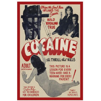 Vintage Vices Cocaine The Thrill the Kills-Paper Art-22&quotx32"