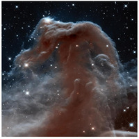 Horsehead Nebula, Infrared View-Paper Art-26"x26"