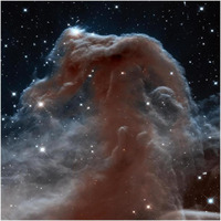 Horsehead Nebula, Infrared View-Paper Art-38"x38"