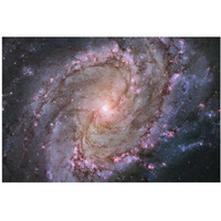 M83 - Spiral Galaxy-Paper Art-20&quotx14"