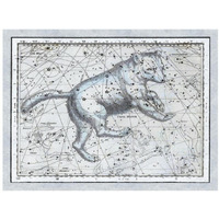 Maps of the Heavens: Ursa Major - The Great Bear-Paper Art-18"x14"