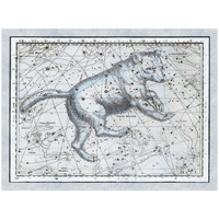 Maps of the Heavens: Ursa Major - The Great Bear-Paper Art-26"x20"