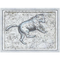 Maps of the Heavens: Ursa Major - The Great Bear-Paper Art-34"x26"