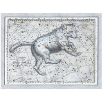 Maps of the Heavens: Ursa Major - The Great Bear-Paper Art-42"x32"