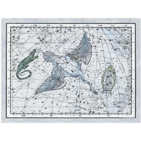 Maps of the Heavens: The Swan in the Milkyway-Paper Art-42"x32"