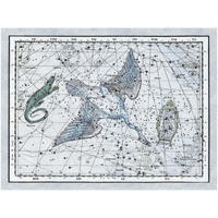 Maps of the Heavens: The Swan in the Milkyway-Paper Art-50"x38"