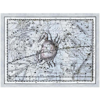 Maps of the Heavens: Cancer - the Crab-Paper Art-34"x26"