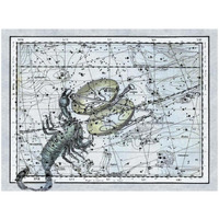 Maps of the Heavens Libra - the Scales & The Scorpion-Paper Art-34&quotx26"