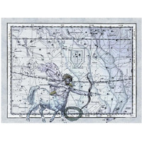 Maps of the Heavens: Sagittarius the Centaur-Paper Art-42"x32"