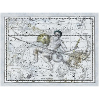 Maps of the Heavens: Aquarius the Water Bearer-Paper Art-50"x38"