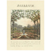 Rosarium, 1813-Paper Art-20"x26"