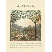 Rosarium, 1813-Paper Art-32"x42"