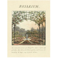 Rosarium, 1813-Paper Art-38"x50"