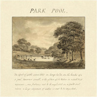 Park Pool, 1813-Paper Art-20"x20"