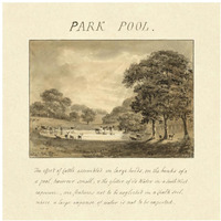 Park Pool, 1813-Paper Art-38"x38"