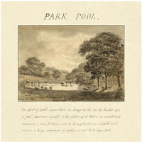 Park Pool, 1813-Paper Art-42"x42"