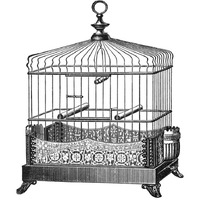 Etchings: Birdcage - Filigree base.-Paper Art-20"x20"