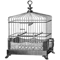 Etchings: Birdcage - Filigree base.-Paper Art-26"x26"