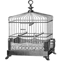 Etchings: Birdcage - Filigree base.-Paper Art-32"x32"