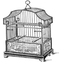 Etchings: Birdcage - Gable top, floral base.-Paper Art-20"x20"