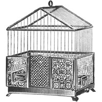 Etchings: Birdcage - Peaked top, patterned base.-Paper Art-26"x26"