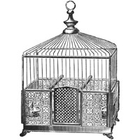 Etchings: Birdcage - Pyramidal top, patterned base.-Paper Art-20"x20"