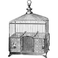 Etchings Birdcage - Pyramidal top, patterned base.-Paper Art-26&quotx26"