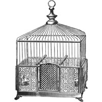 Etchings: Birdcage - Pyramidal top, patterned base.-Paper Art-38"x38"